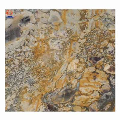 Breche vandome Luxury granite big slab for wall and floor