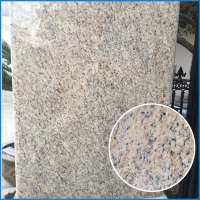 brazil granite quarry stone soft yellow granite slab