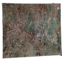 Amazon Green Exotic Quartzite Granite Slab